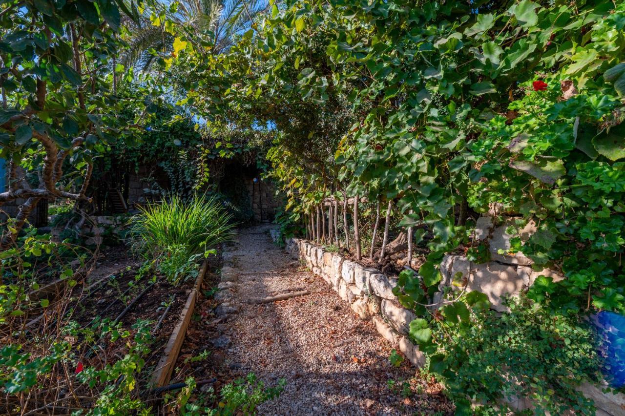 Hemdatya Stone Suites In The Galilee Ilaniya Екстериор снимка