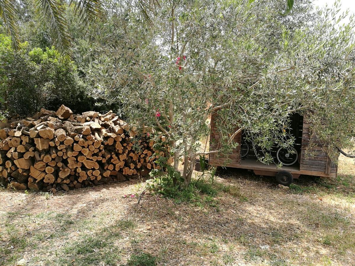 Hemdatya Stone Suites In The Galilee Ilaniya Екстериор снимка