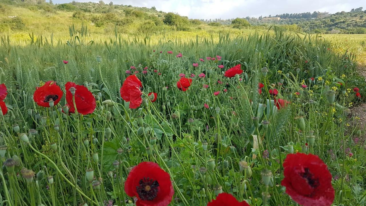 Hemdatya Stone Suites In The Galilee Ilaniya Екстериор снимка